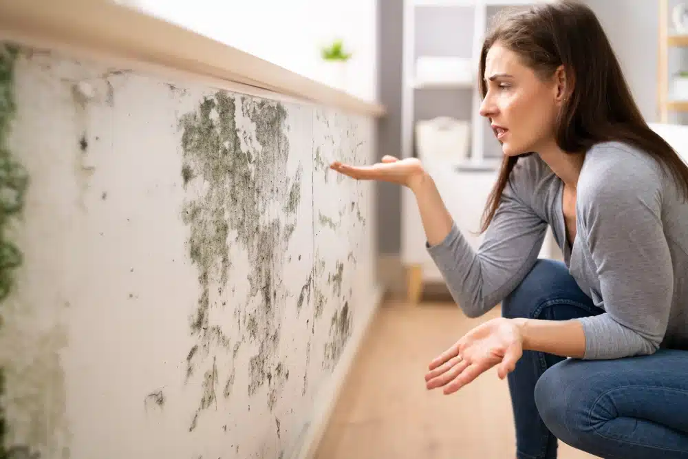 woman finding mold in her home