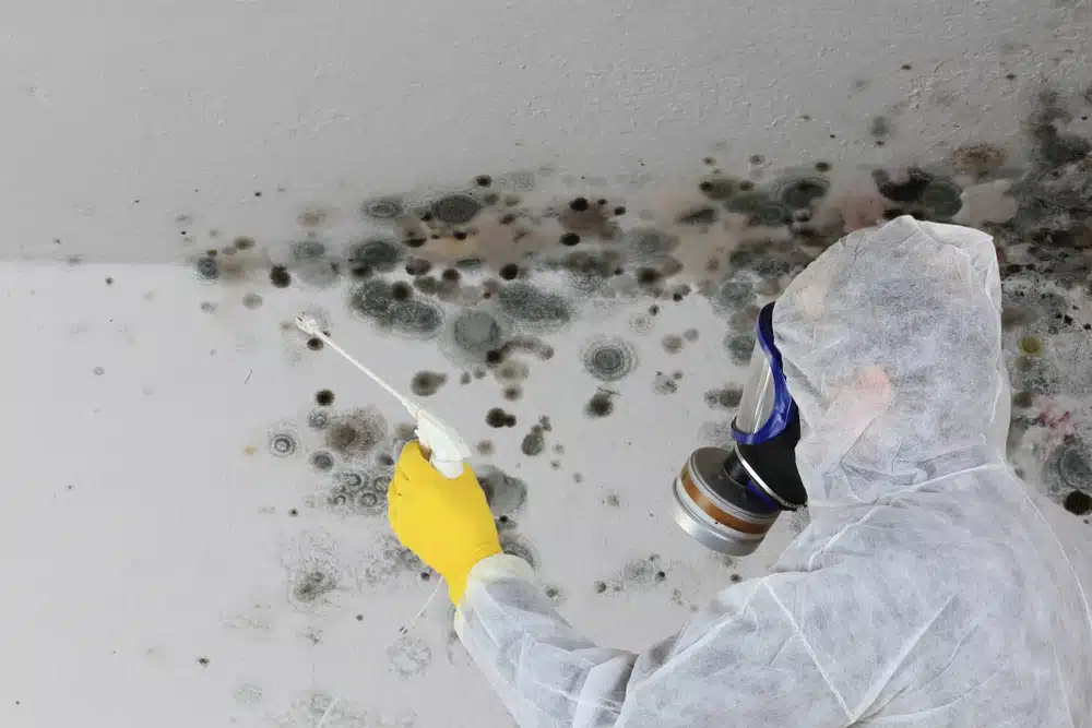 A person wearing protective gear and cleaning mold off a wall.