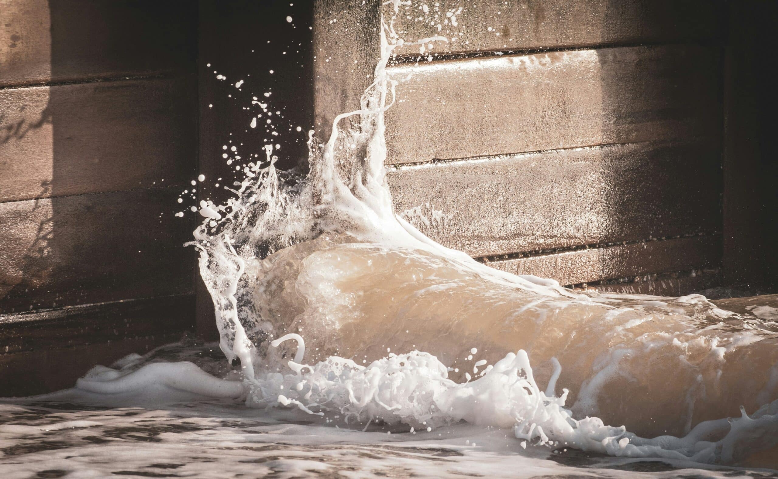 sewage contamination cleanup regulations and safety