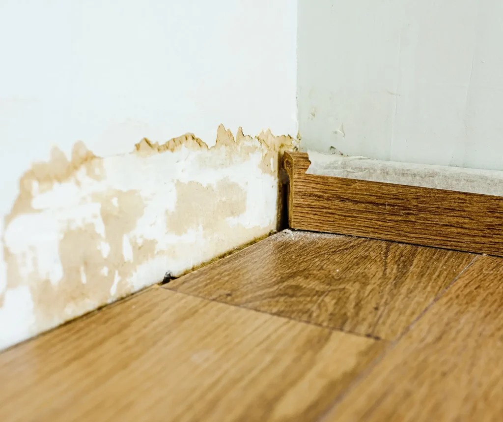 What Happens If Water Damage Is Left Untreated