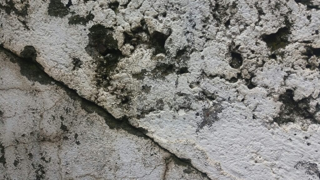 mold after water damage