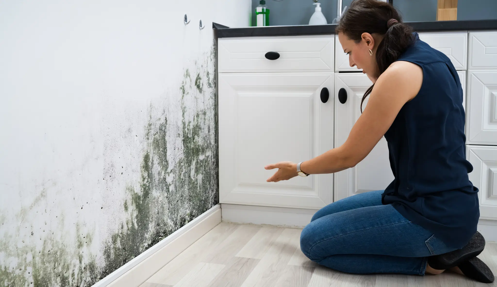 Leak Detection San Diego , leak inspections