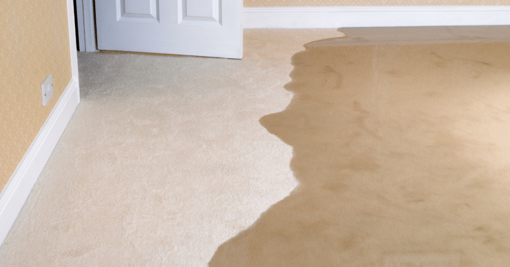 can carpet be saved after a flood