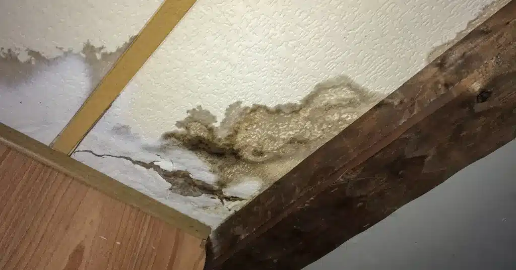 ceiling water damage repair cost