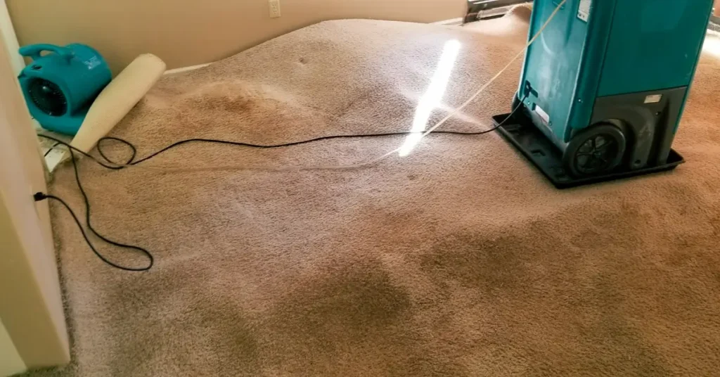 how long does it take to dry out water damage