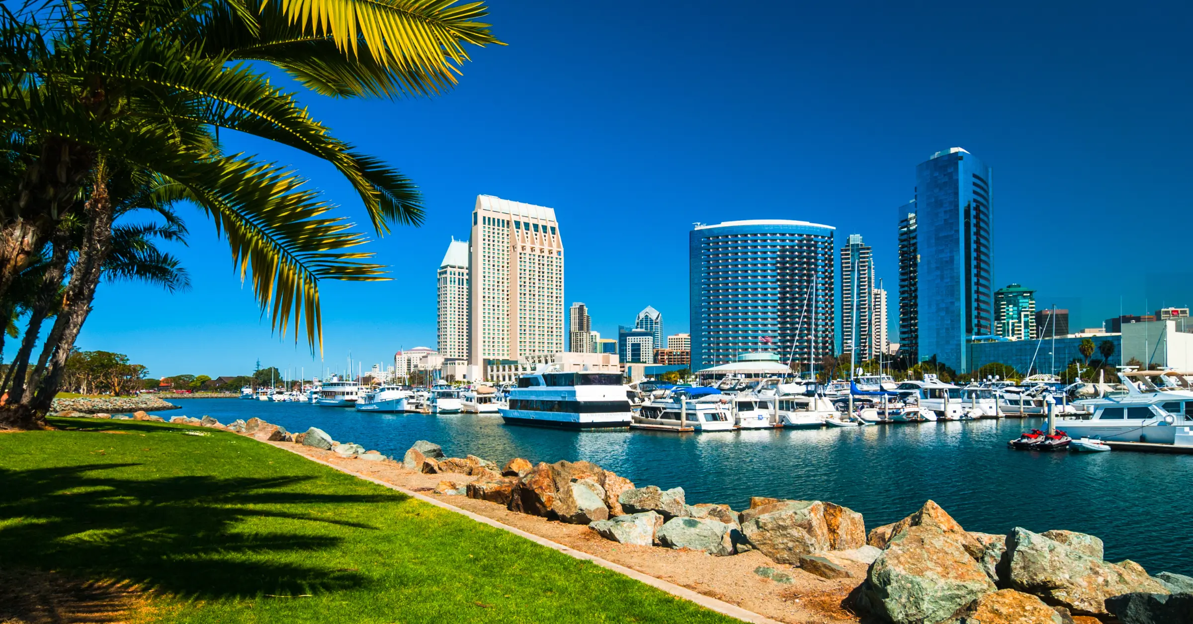 restoration services san diego