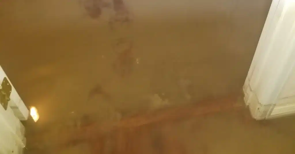 sewage backup in basement