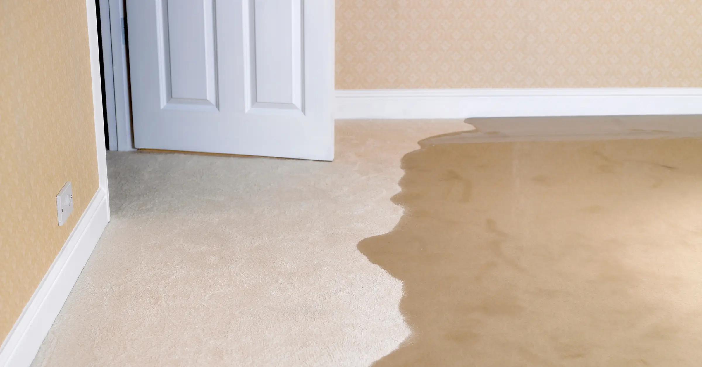 how to get rid of water damage odor