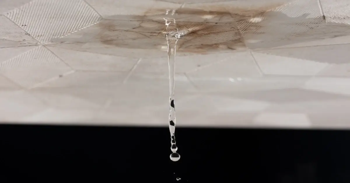 does homeowners insurance cover roof leaks