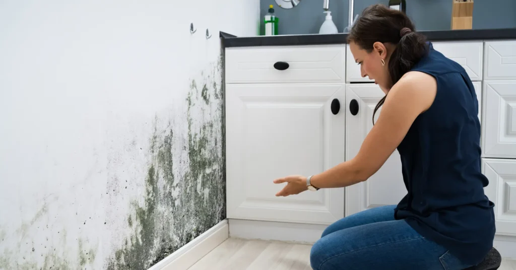 how to prevent mold after water damage