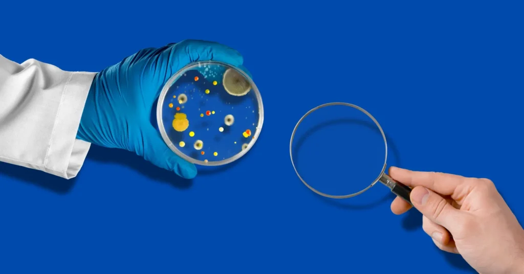 mold inspection vs mold testing