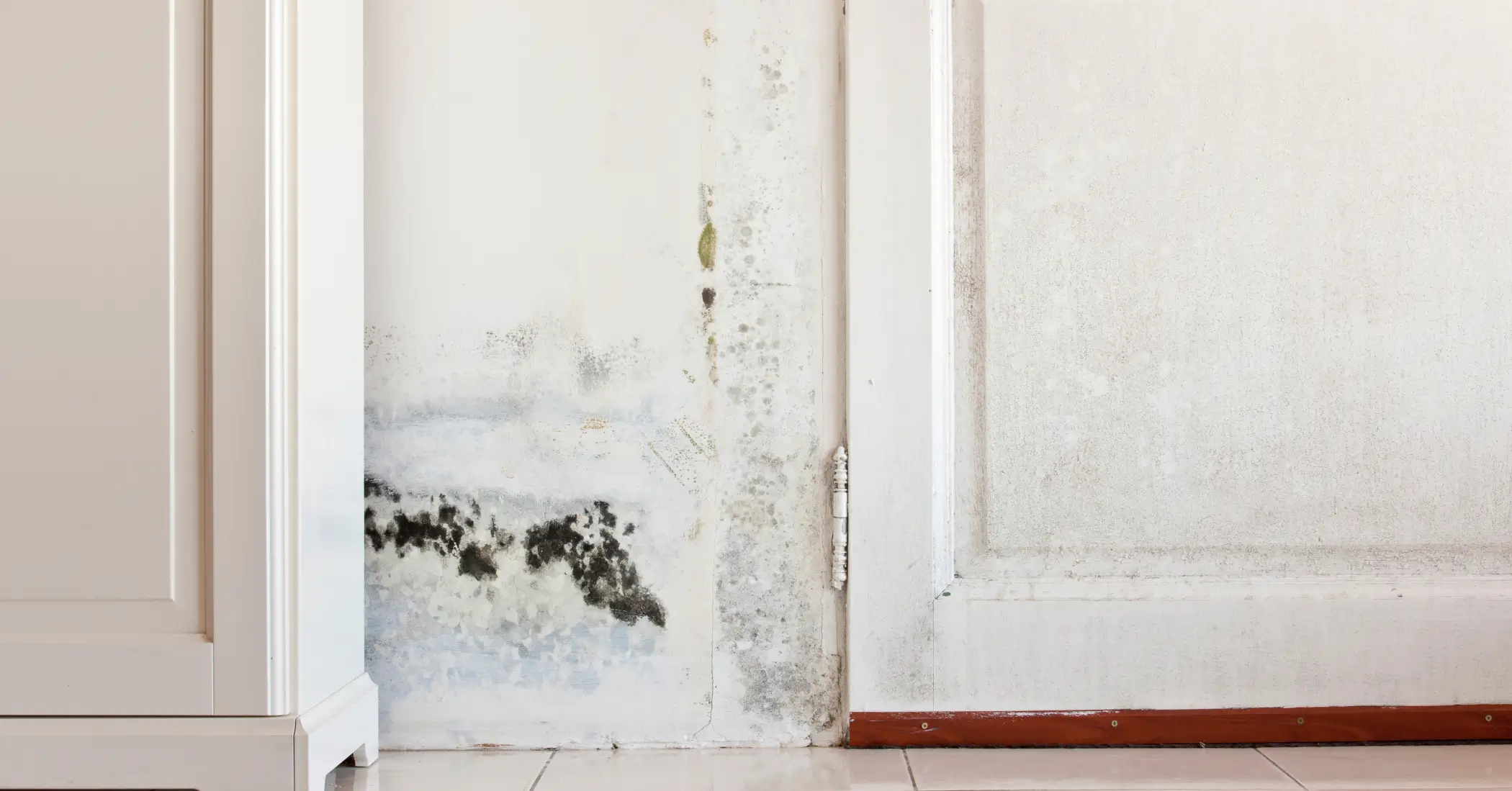 signs of water damage behind walls