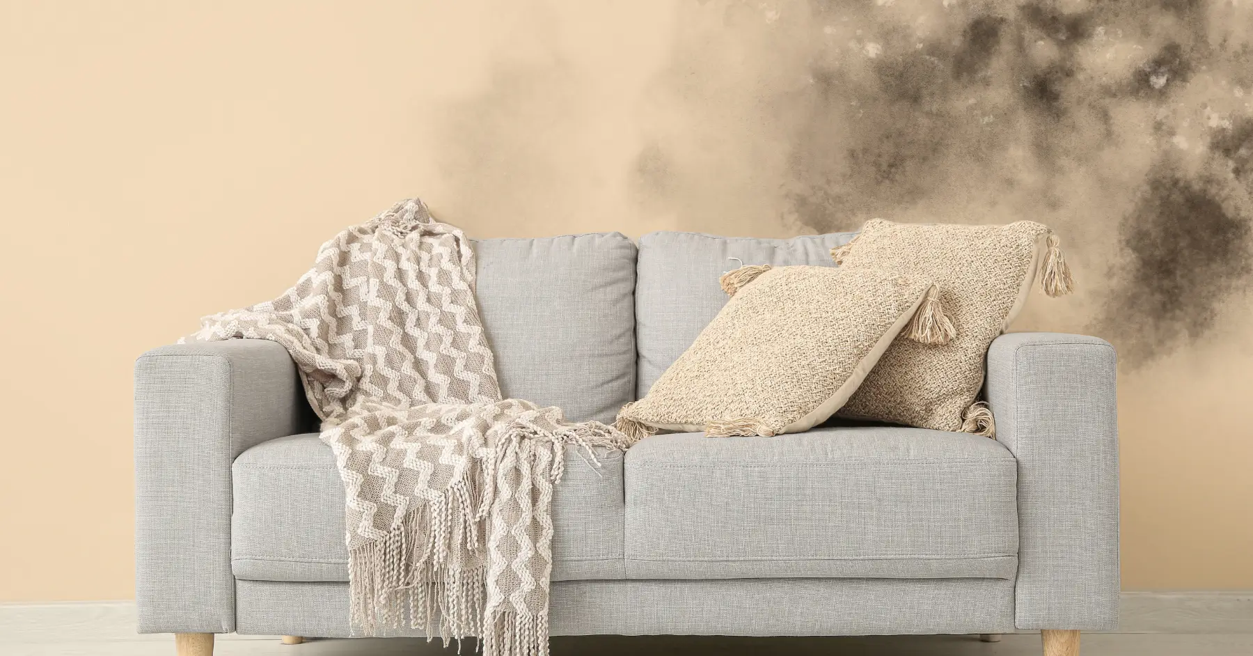 what does black mold look like