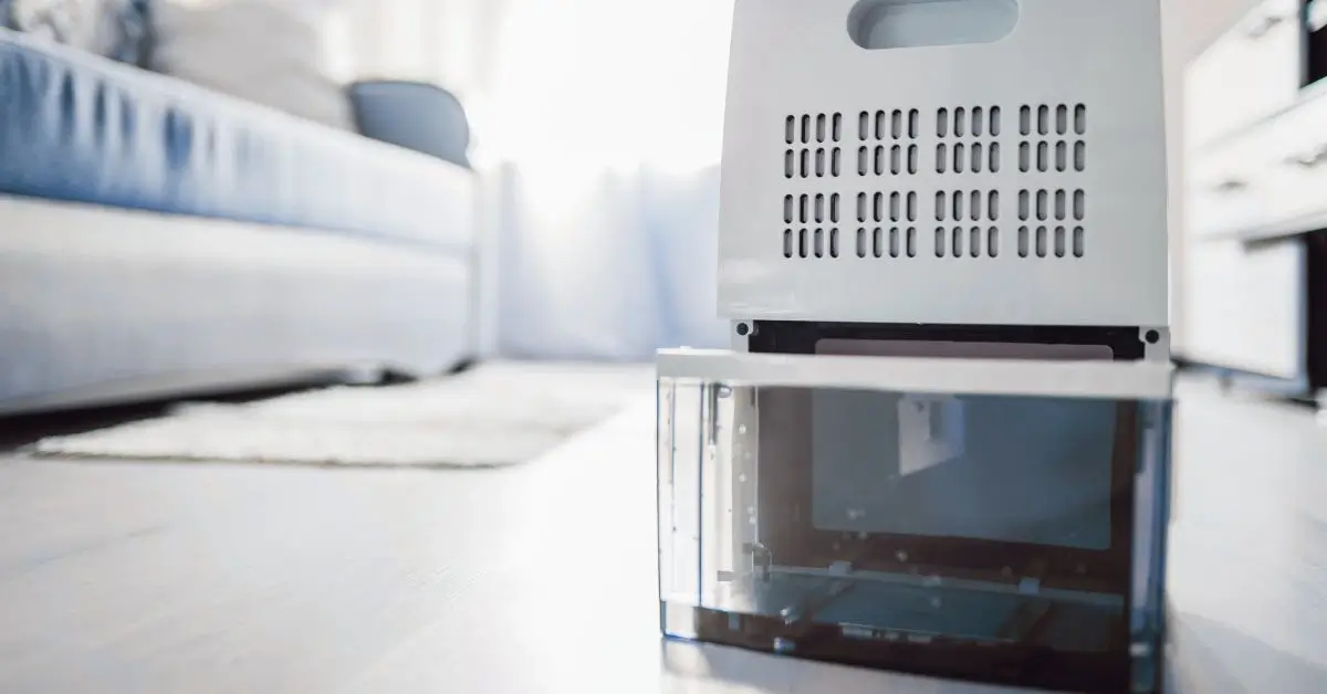 do I need a dehumidifier after a flood