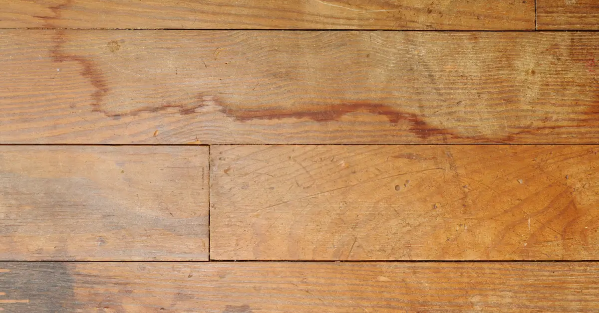 how to repair water damaged wood