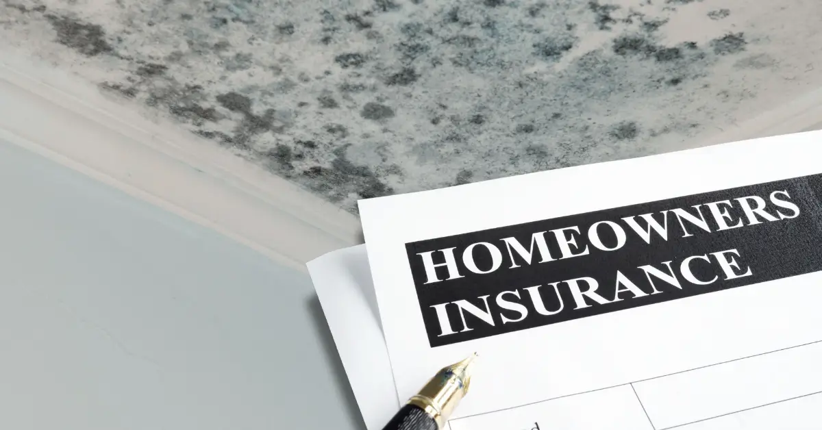 does homeowners insurance cover mold remediation