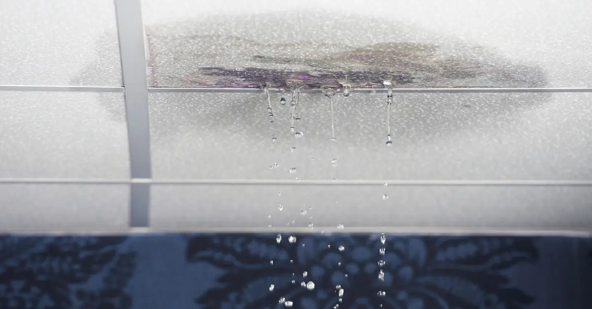 how much does it cost to fix a roof leak