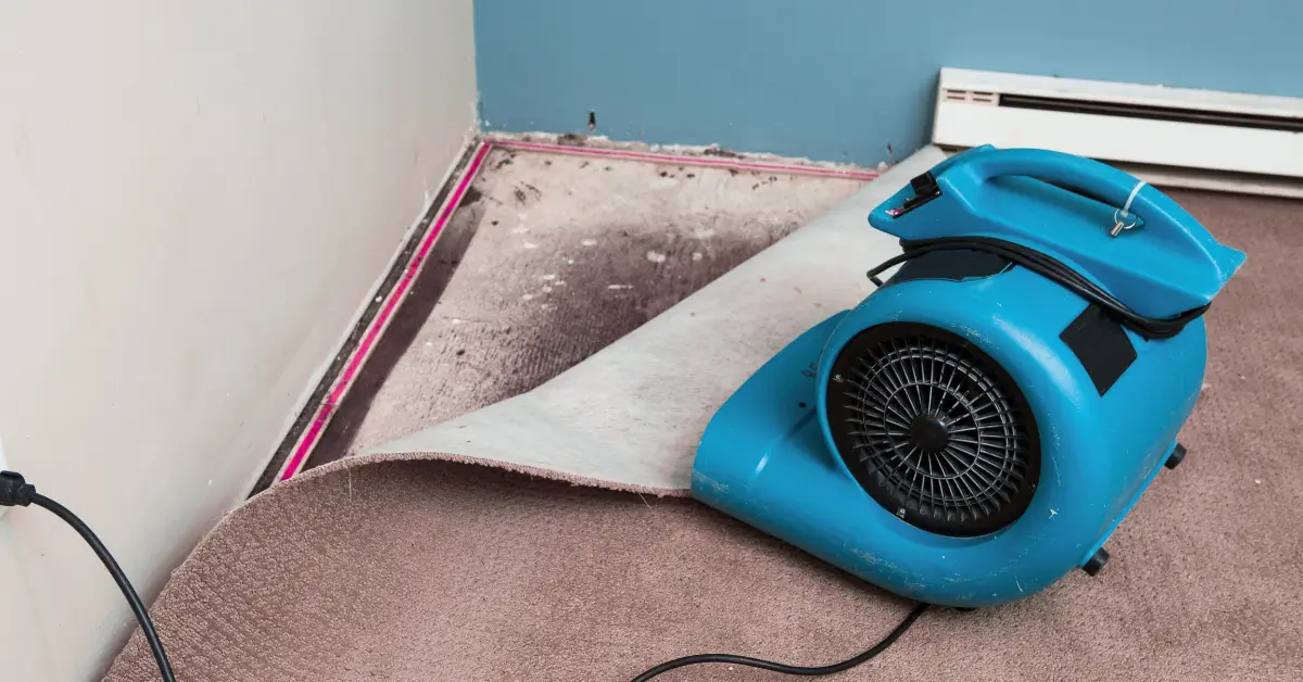 what does a water damage restoration company do