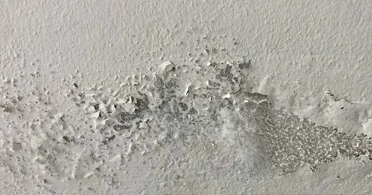 Wet Drywall After Water Damage