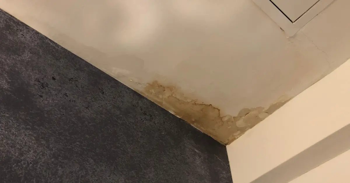 how to detect a water leak