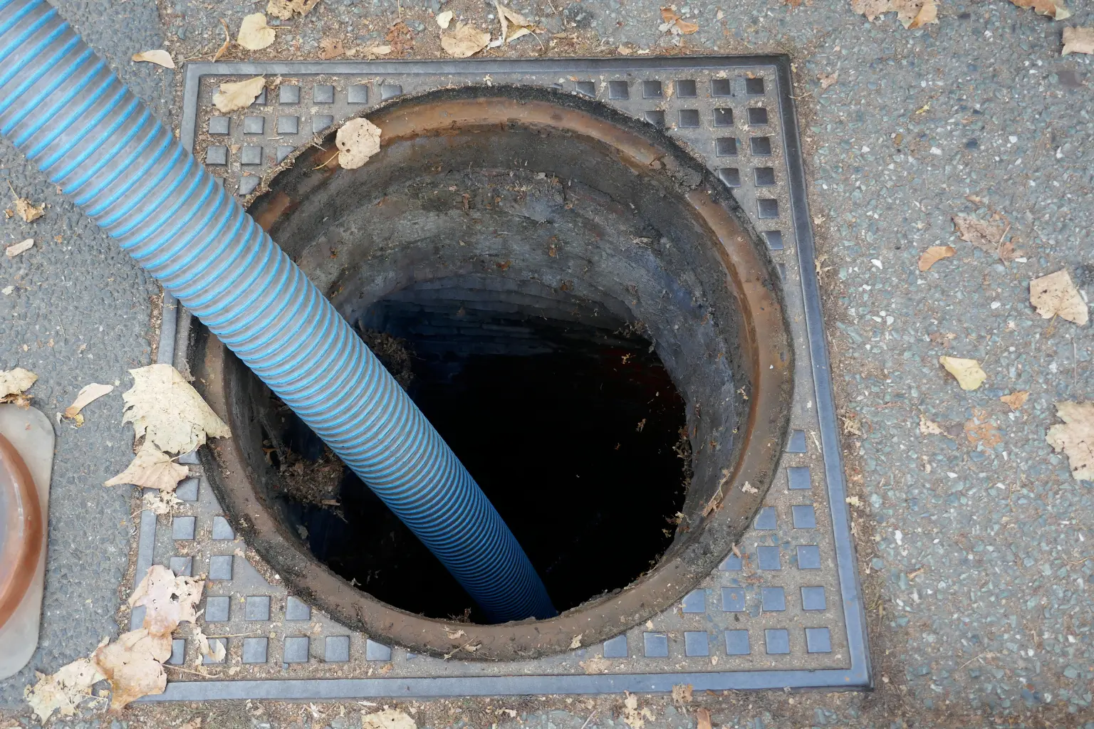 Sewage Cleanup San Diego