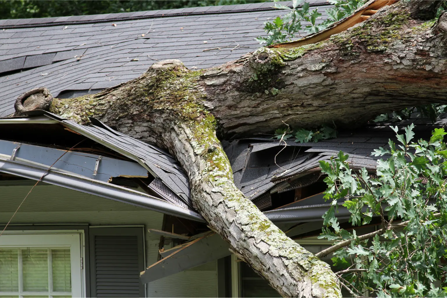Storm Damage Restoration San Diego