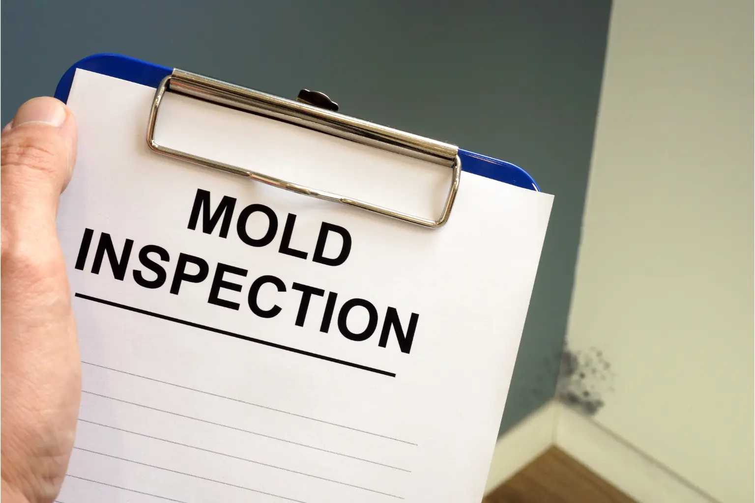 Mold Inspection in San Diego