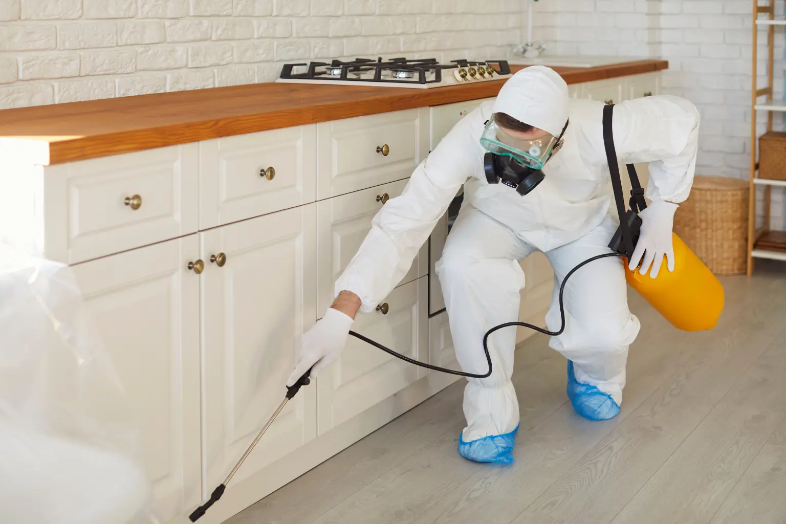 Dehumidification Services in San Diego