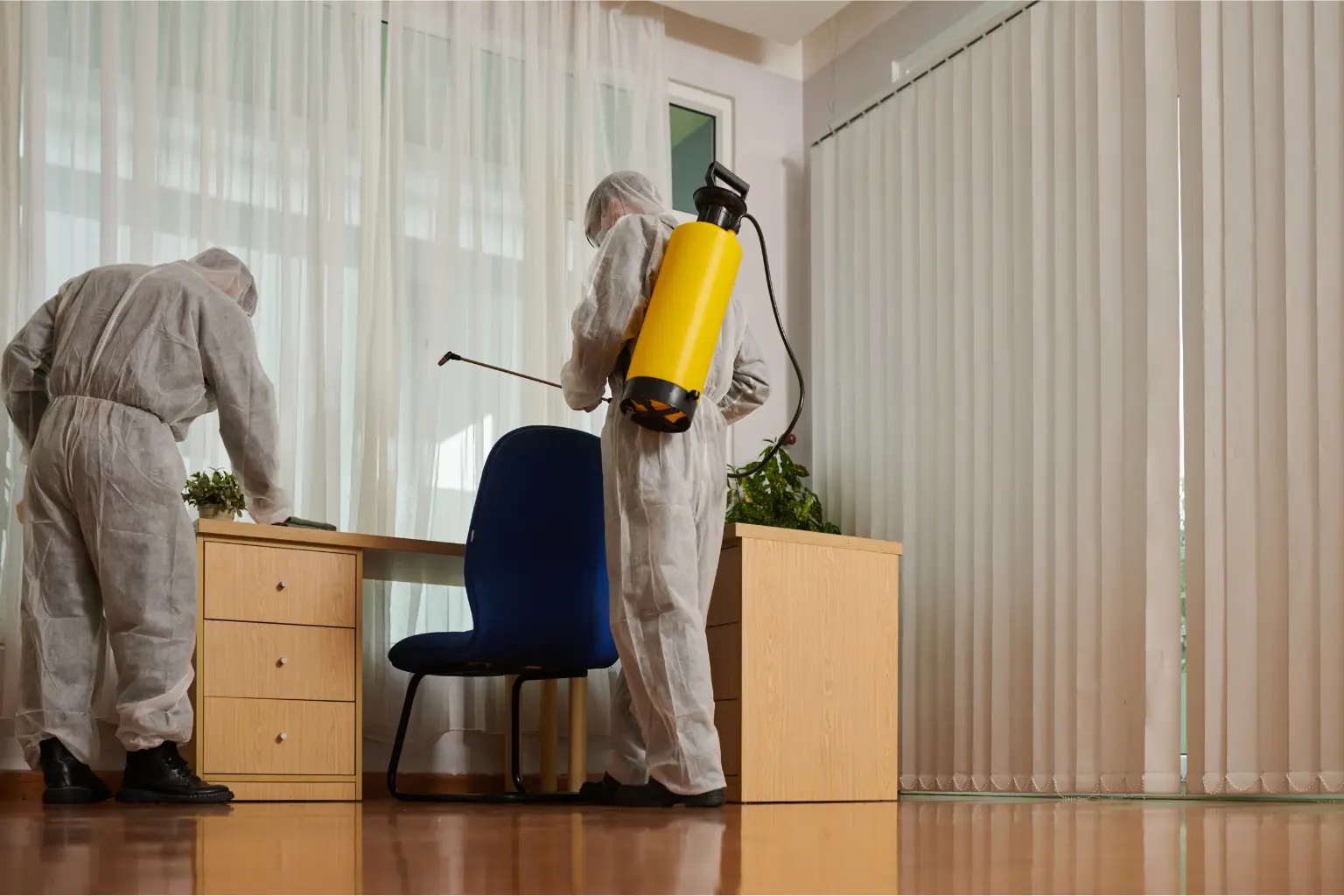Moisture Control Services in San Diego
