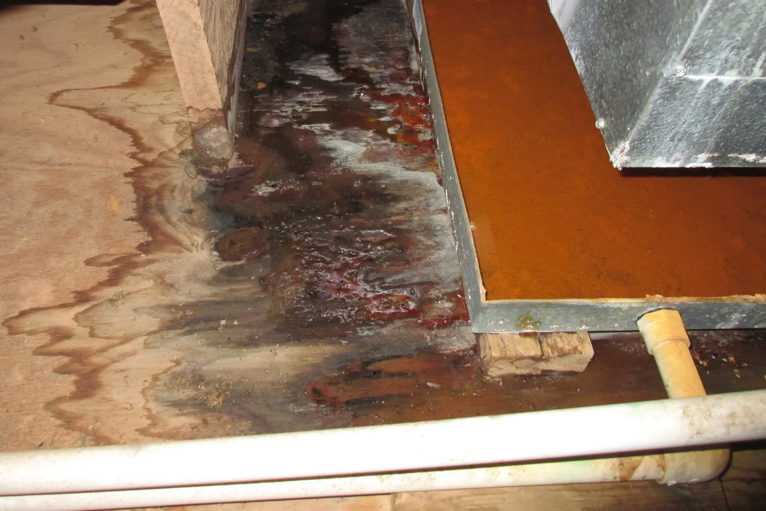 Water Damage Repair in San Diego