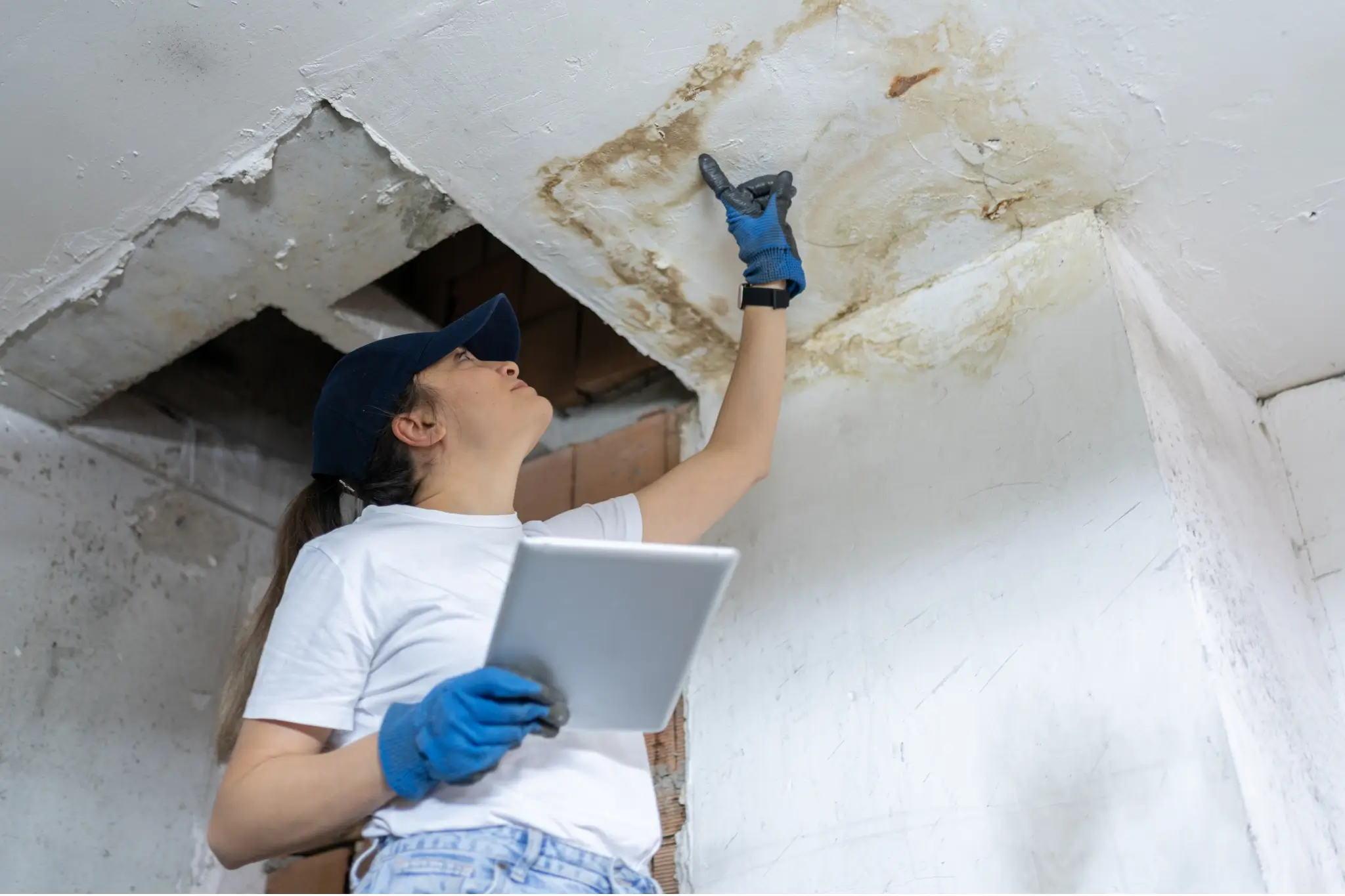 water damage restoration Vista