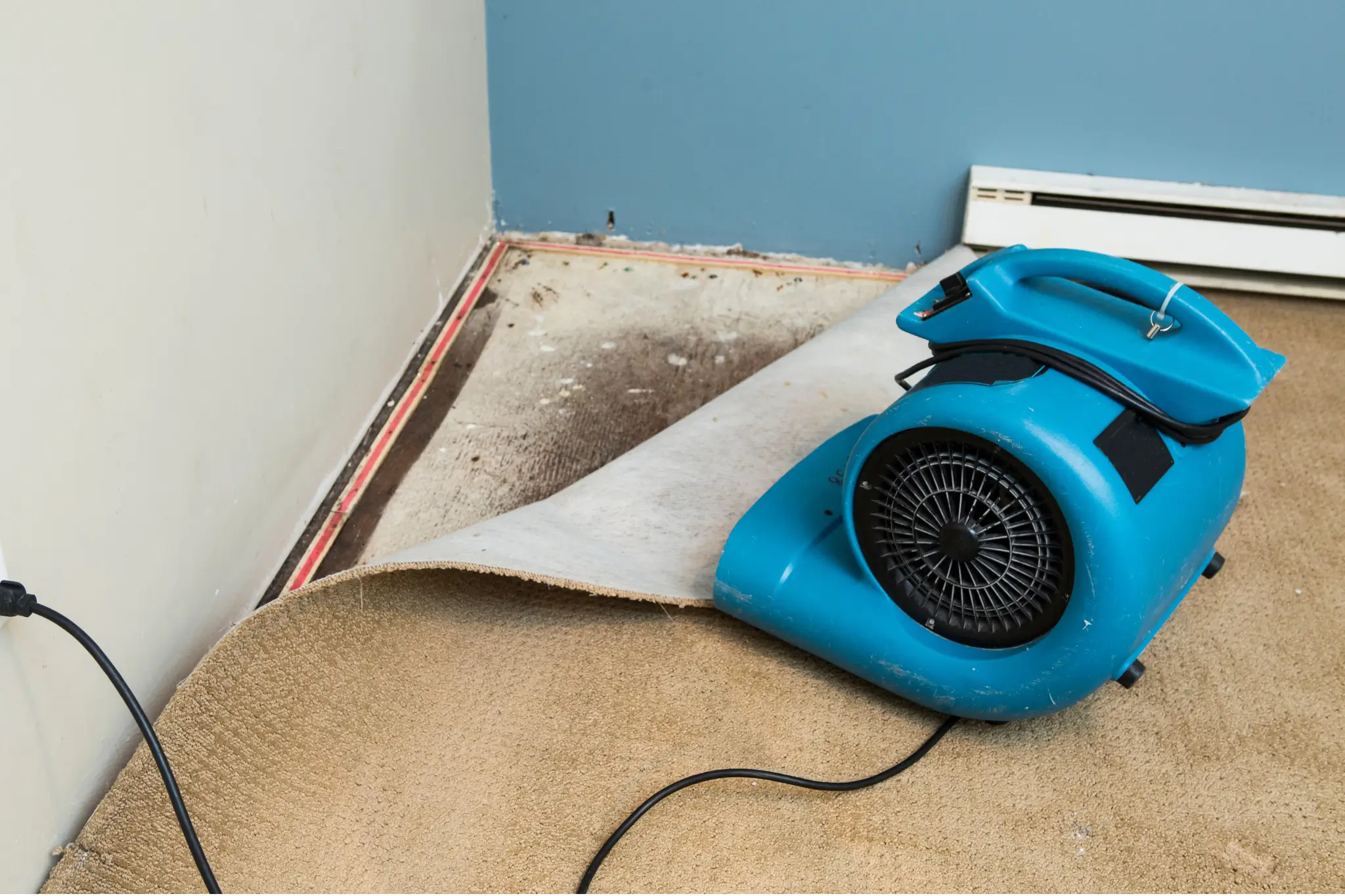 water damage restoration Carlsbad