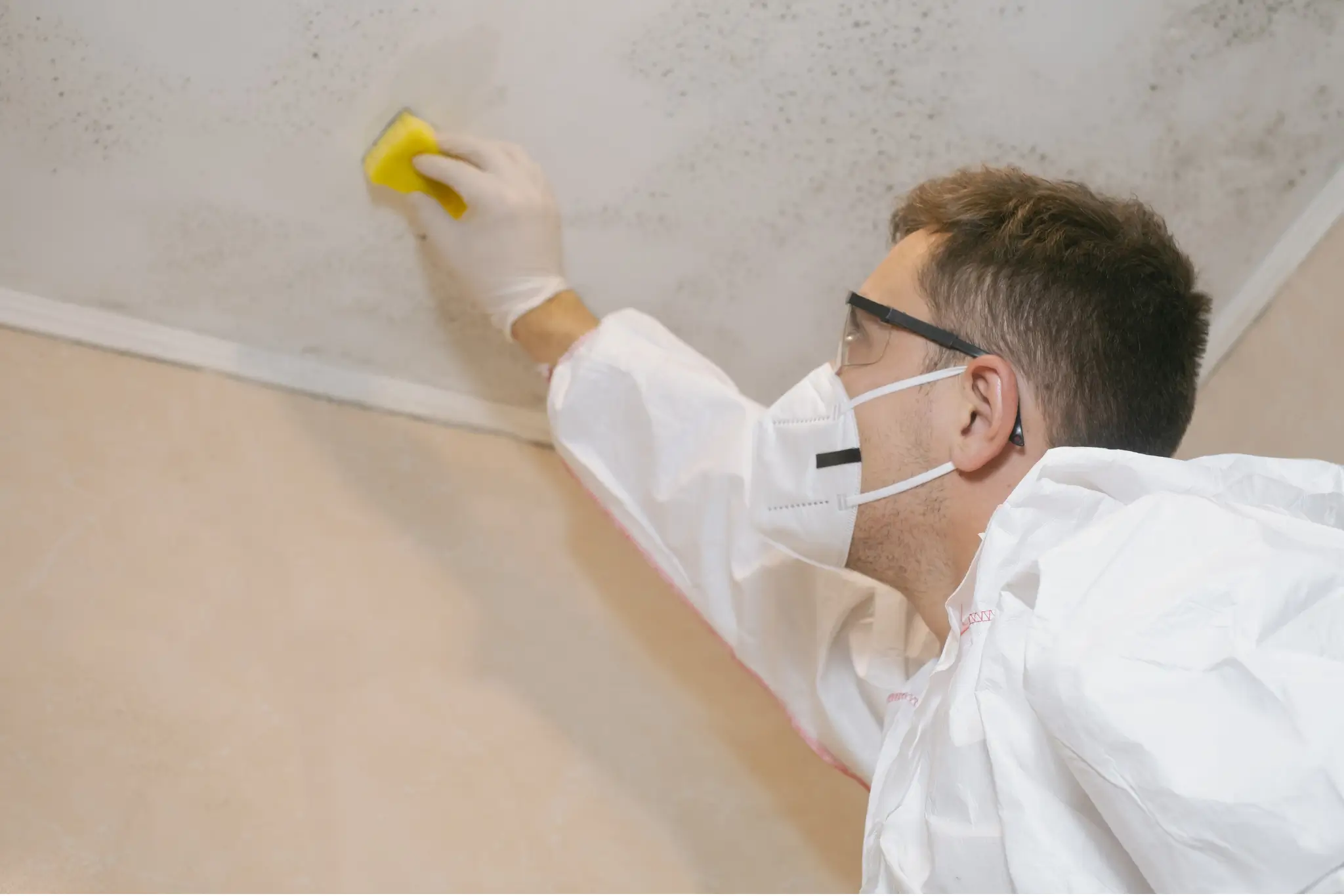 mold remediation in Escondido