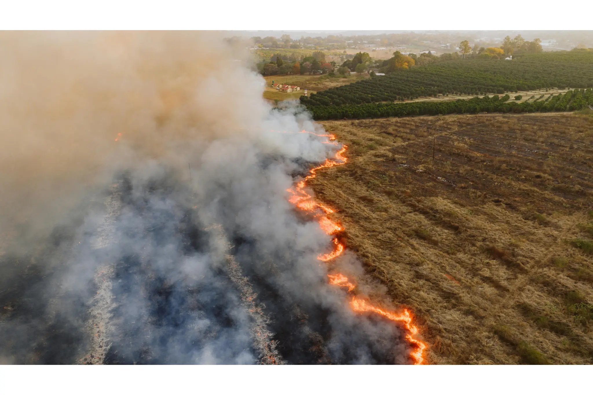 La Jolla wildfire smoke damage